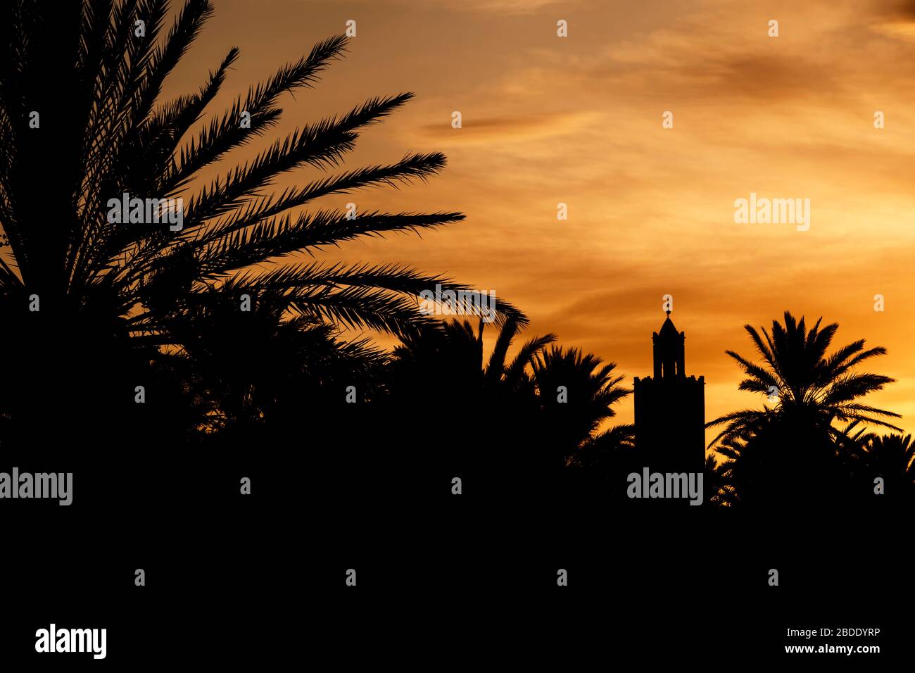 Silhouette of a minaret (mosque) and date palms against a beautiful colorful sky at sunset. In Ouarzazate, Morocco. Stock Photo