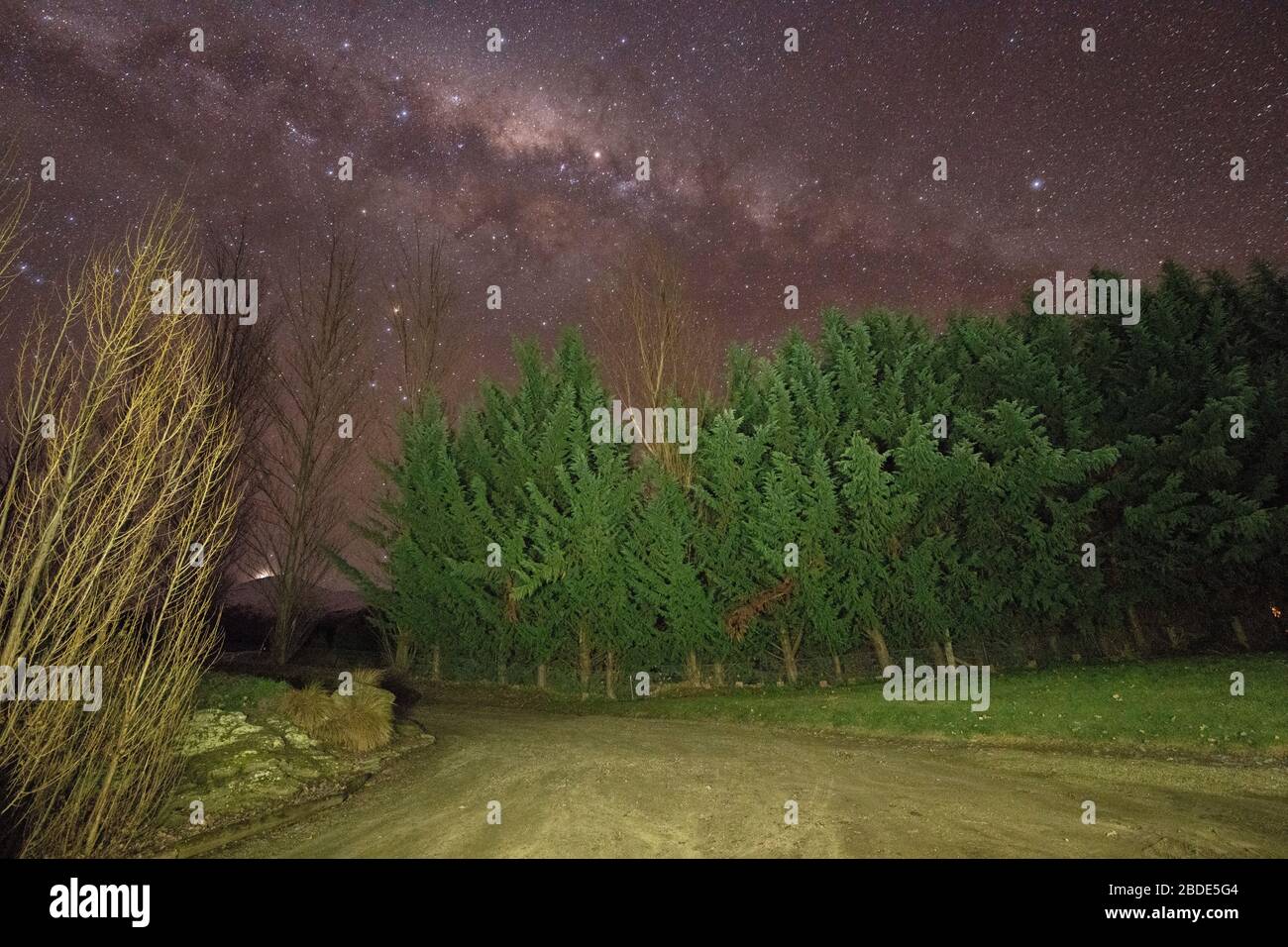 Milky Way above trees, Cromwell, Otago district, South Island, New Zealand Stock Photo