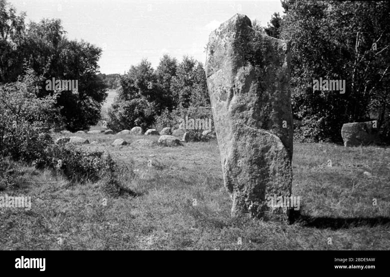 Pl Andersson. Birthdate: circa 1605. Birthplace: Omsj, dals-Liden, Nsker, Sollefte, Sverige. Death: 1670 (61-69) family tree profiles for Pl Andersson. Pl Andersson in MyHeritage family trees (Nsstrm Web Site) Pl Andersson (c.1605 - 1670) - Genealogy - Geni