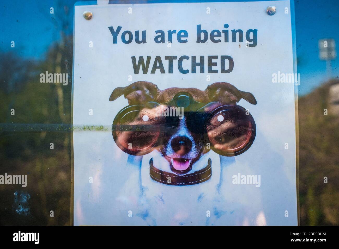 neighborhood watch sign with cartoon dog Stock Photo