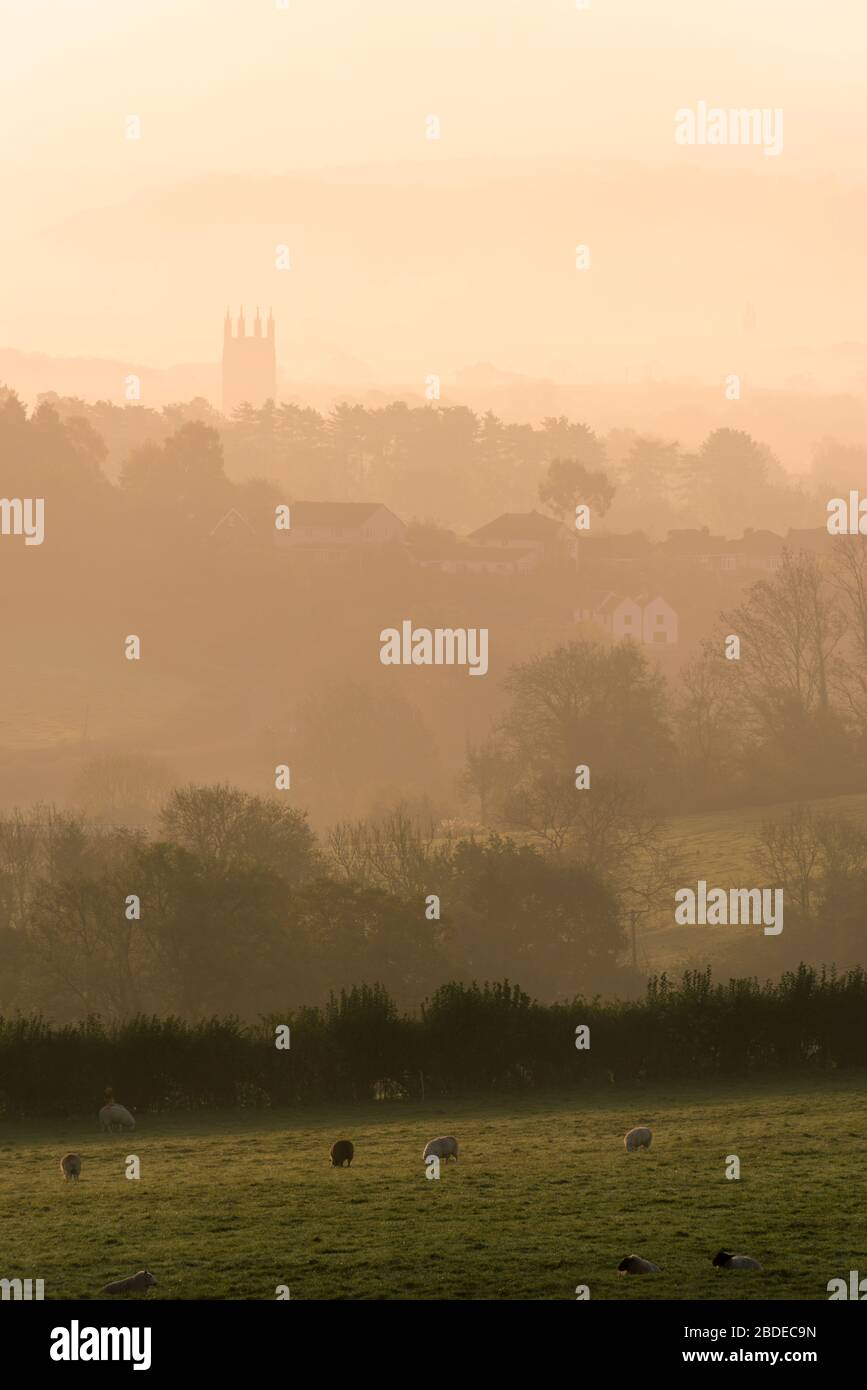 Morning mist at sunrise over the City of Wells viewed from Ebbor Gorge National Nature Reserve in the Mendip Hills, Somerset, England. Stock Photo