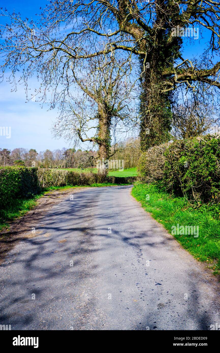 Single Lane Routed Track Single track roads hi-res stock photography and images - Alamy