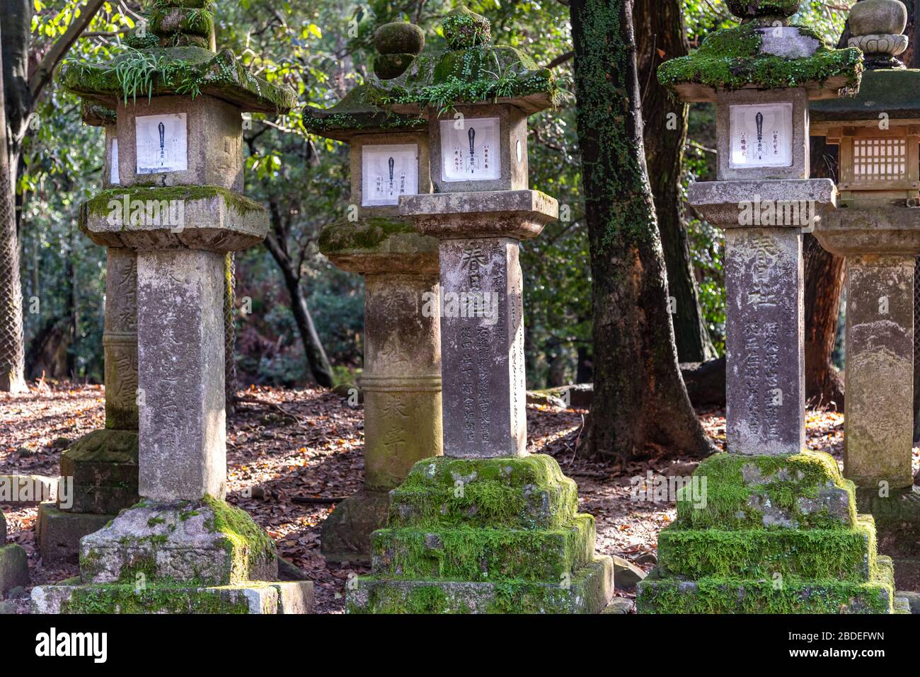 Stone lanterns in the Kasuga Grand Shrine, Nara Park area Stock Photo