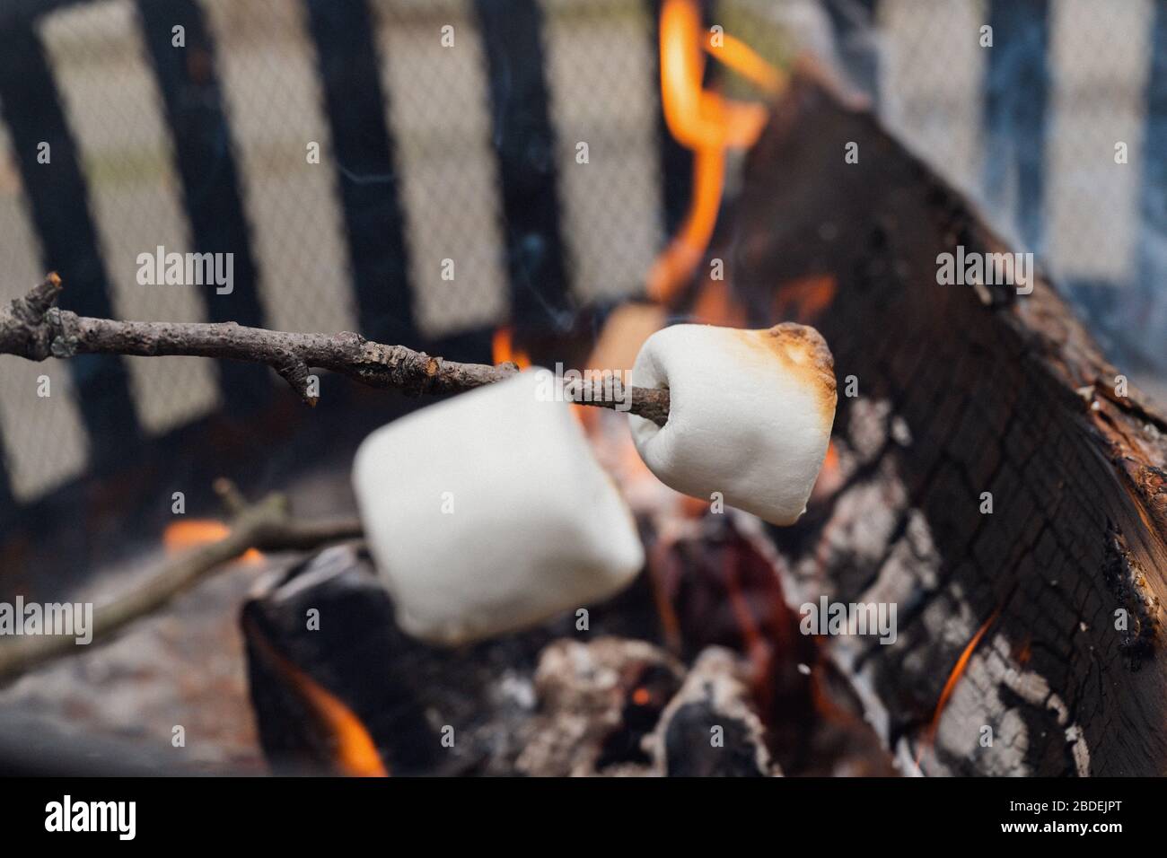 Roasting marshmallows over fire Stock Photo Alamy