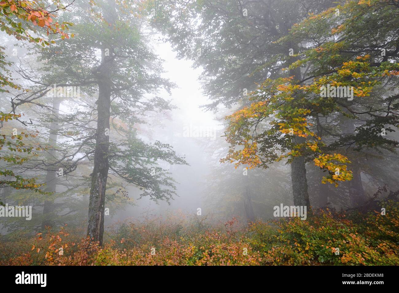 Hillside mountain Munchel, Borzhava, Carpathians, Zakarpattia region, Ukraine, 2019 Stock Photo