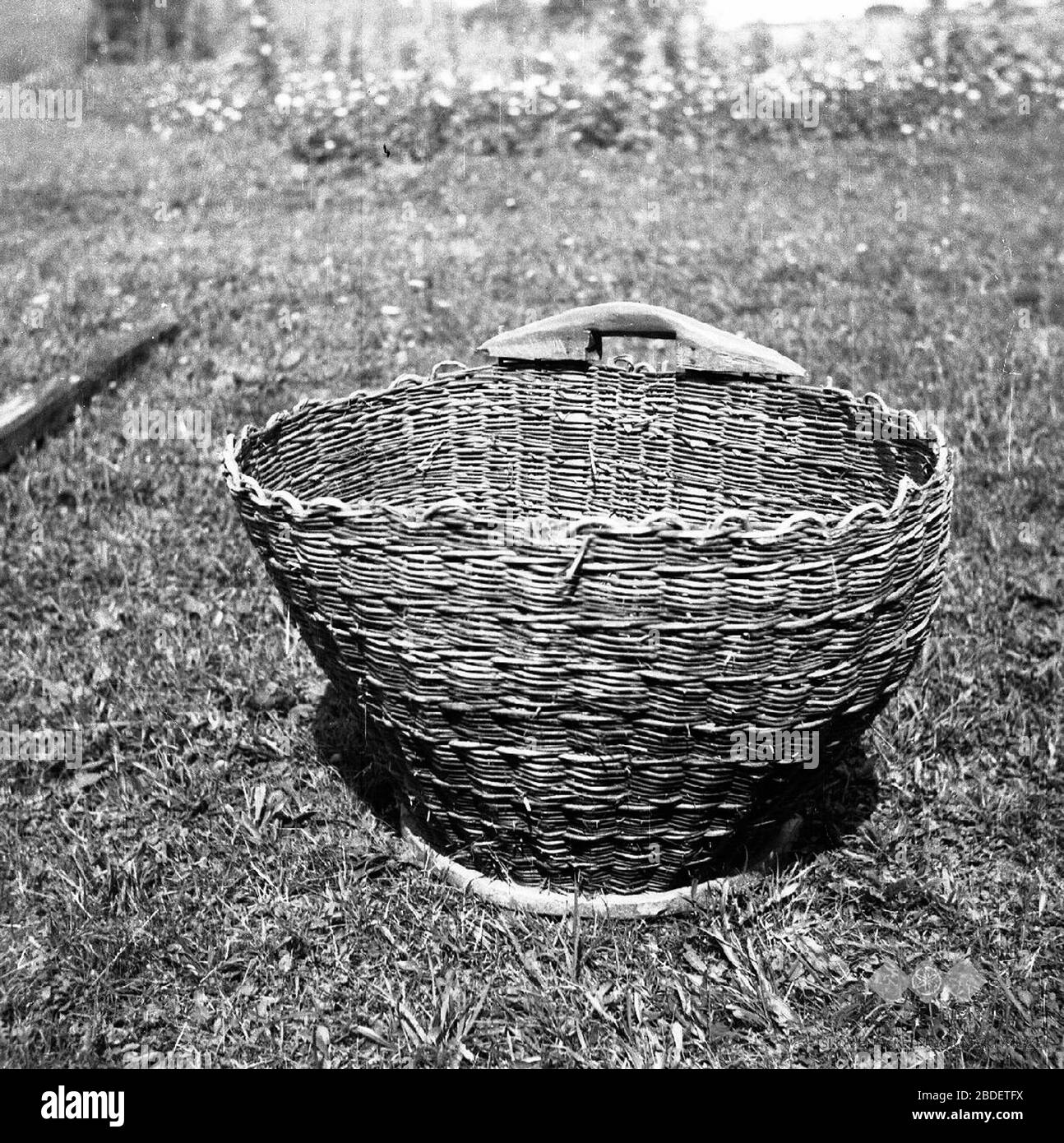 Listje Black And White Stock Photos Images Alamy