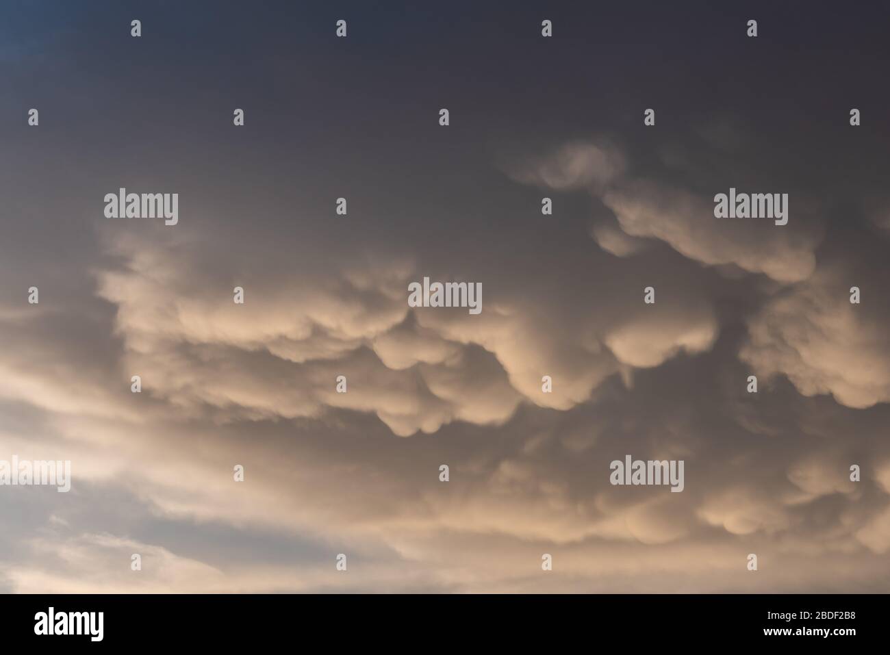 Mammoth or mastodon clouds over the sky with warm tones Stock Photo
