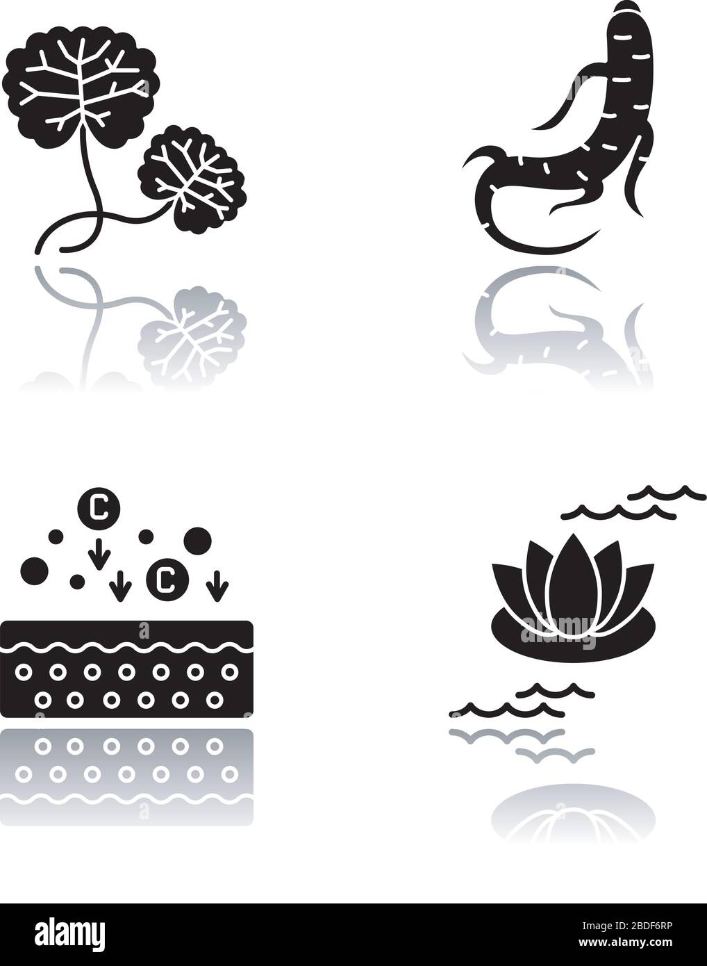 Cosmetic ingredient drop shadow black glyph icons set. Centella plant ...