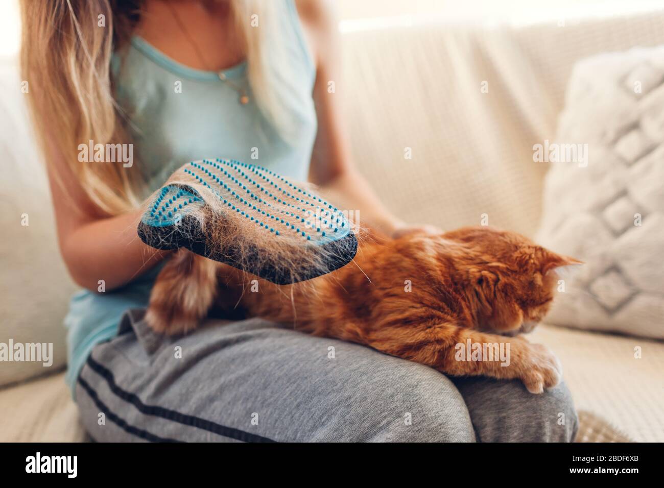 glove to brush cat with
