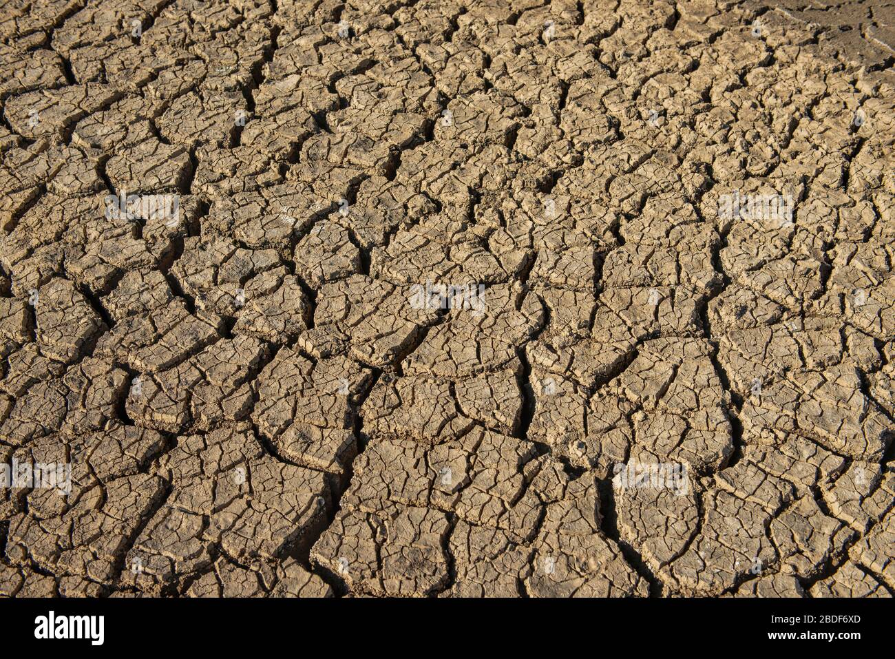 Brown Cracked ground,Cray Soil,Mud Crack.Cracks on the surface of the ...