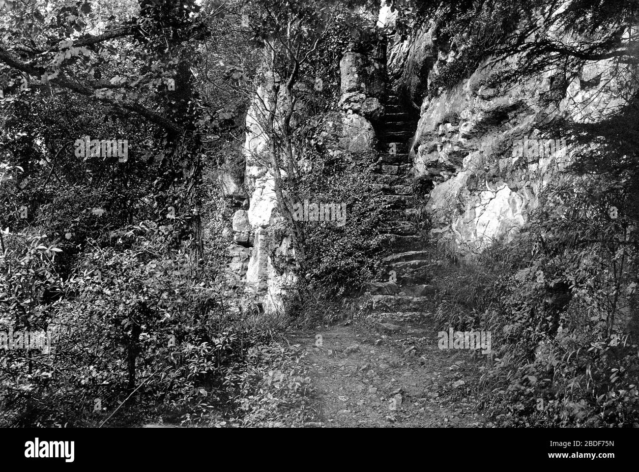 St Asaph, the steps to the Cefn Caves 1891 Stock Photo Alamy