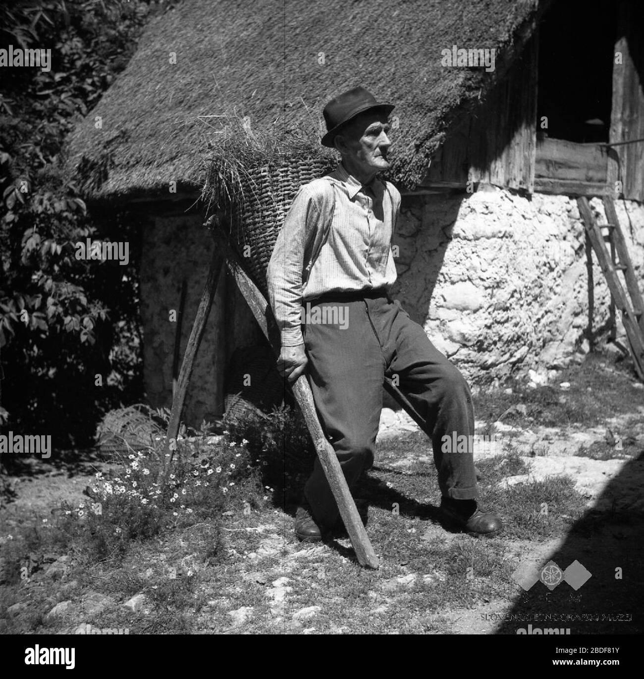 Slovenščina: Muš (kalenate, čvere) pomaga, da zadene kmet koš (oprtnik) na  rame.; August 1954; This image or media is available on the Slovenian  Ethnographic Museum's websiteunder the reference number  cerkljansko/f0000011023.This tag does