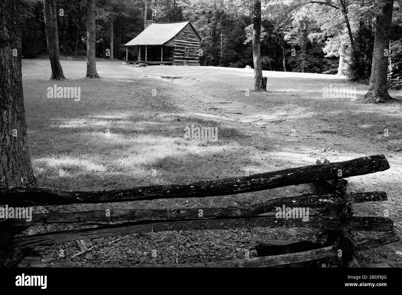 Path to Log Cabin in the Woods Stock Photo Alamy