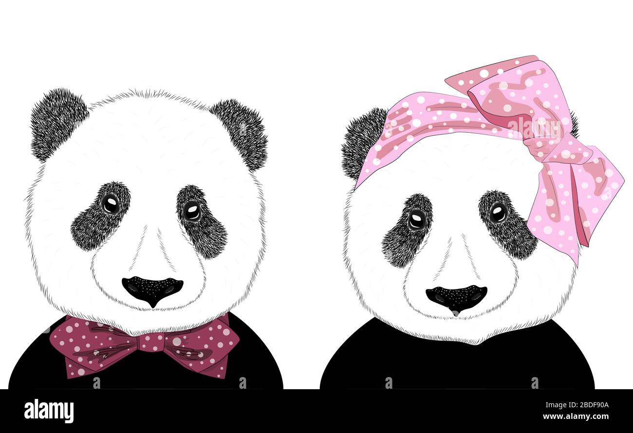 Hand drawn illustration of the head of a panda girl with a bow in the style  of the 60s and a panda man in a tie, set Stock Vector Image & Art -