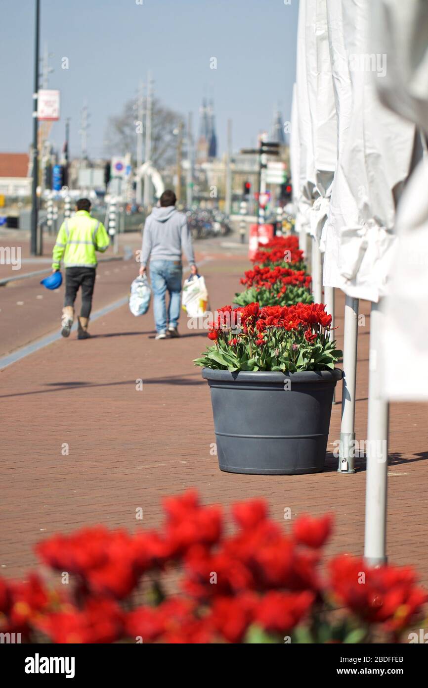Amsterdam, Netherlands. 8th Apr, 2020. Flowerpots with tulips are seen in front of the Double Tree Hilton Hotel in Amsterdam, the Netherlands, April 8, 2020. Amsterdam'sTulip Festival 2020 brings tulips into streets throughout the whole month of April. Due to the coronavirus epidemic, some tulip locations are closed this year. Credit: Sylvia Lederer/Xinhua/Alamy Live News Stock Photo