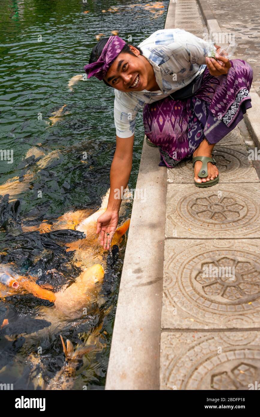 Vertical portrait of a traditionally dressed man feeding the fish at the Tirta Gangga water palace in Bali, Indonesia. Stock Photo