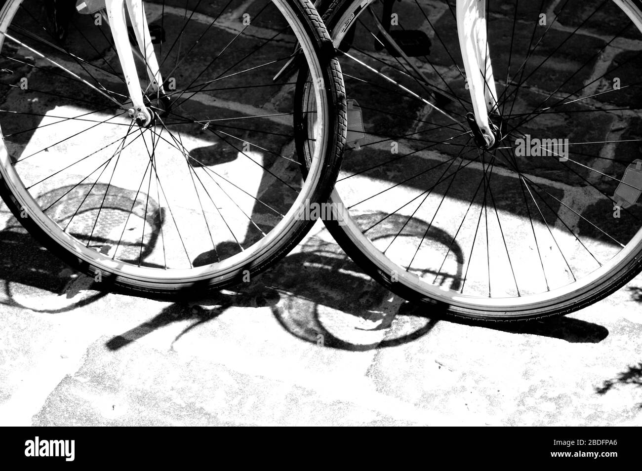 Bicycle wheel closeup. Free space. Detail. Bike Stock Photo Alamy