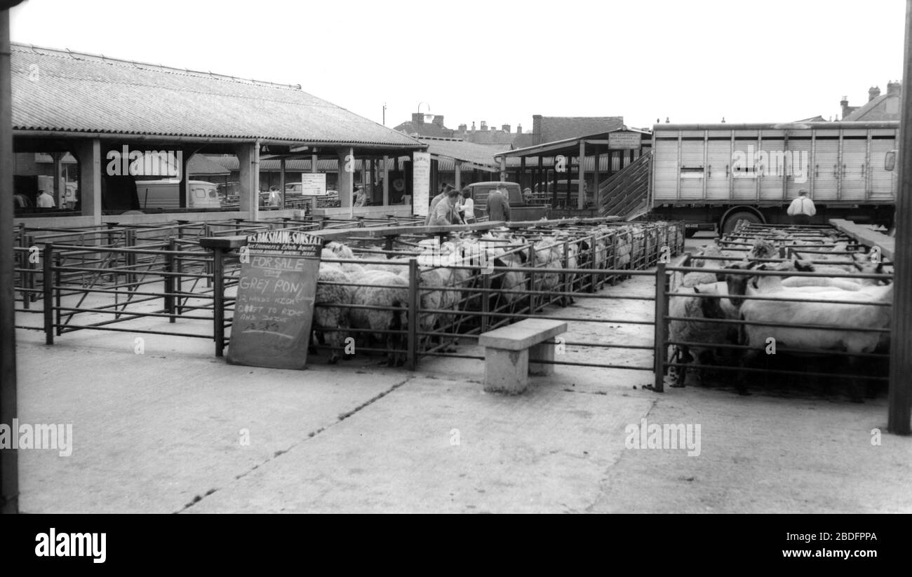 Uttoxeter, Cattle Market c1965 Stock Photo Alamy