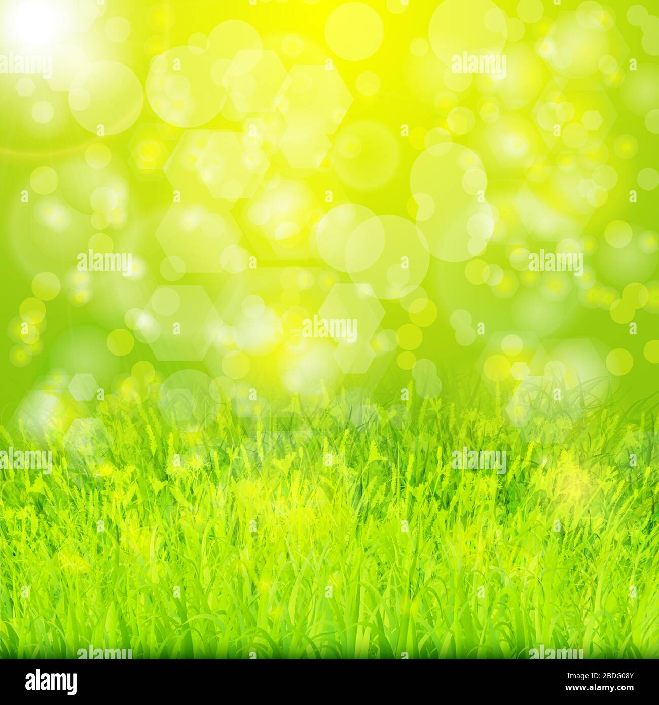 Summer natural background grass Stock Vector Images - Alamy
