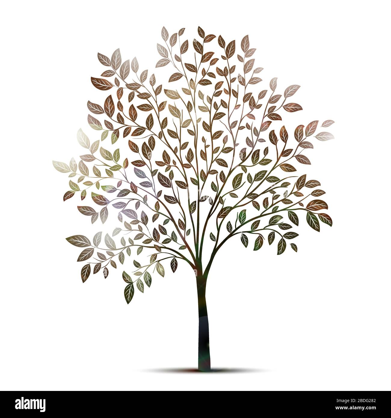 Tree with leaves silhouette vector Stock Vector Image & Art - Alamy