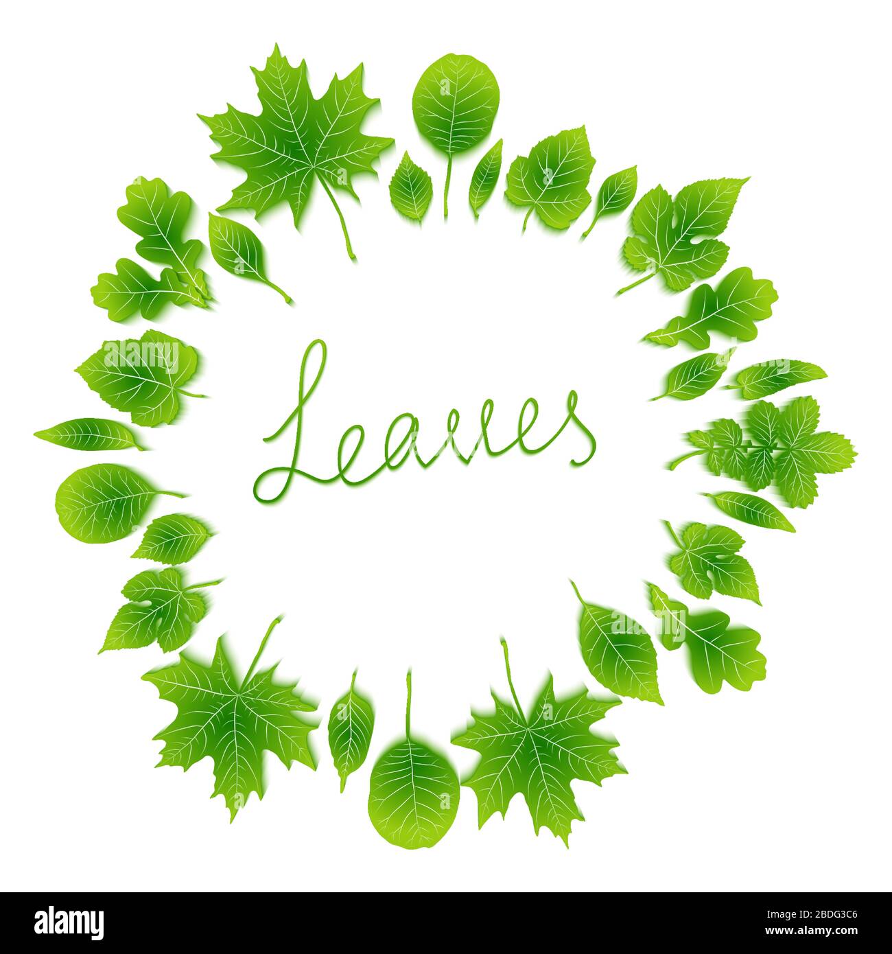 Vector frame of green leaves on white background Stock Vector Image ...