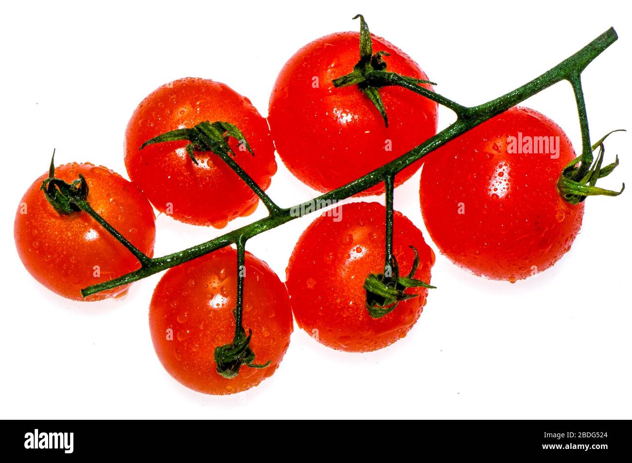 Vine Tomatoes on a clear white background Stock Photo - Alamy