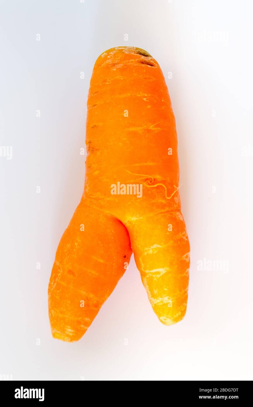 Wonky carrot isolated on white background Stock Photo