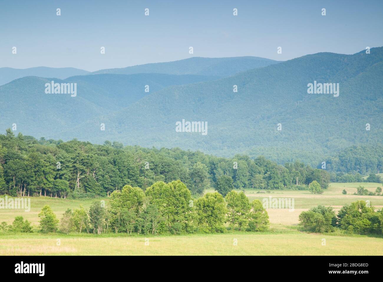 AROUND THE VALLEY visual data 7