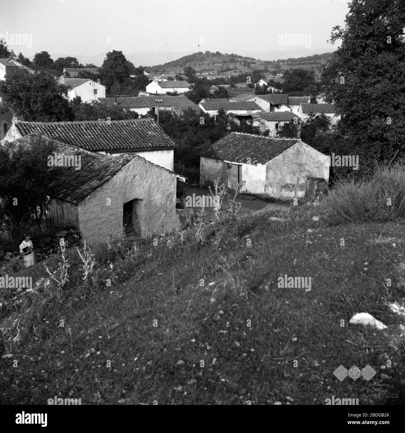 'Slovenščina: Račice, Ilirska Bistrica.; August 1955; This image or media is available on the Slovenian Ethnographic Museum's websiteunder the reference number brkini/f0000012492.This tag does not indicate the copyright status of the attached work. A normal copyright tag is still required. See Commons:Licensing. English | slovenščina | +/−; Fanči Šarf  (1924–)        Description Slovene ethnologist and photographer  Date of birth  1924   Location of birth  Ljubljana   Work period 20th century date QS:P,+1950-00-00T00:00:00Z/7  Authority control  : Q41784719 VIAF: 239813517 ISNI: 0000 0003 8562 Stock Photo