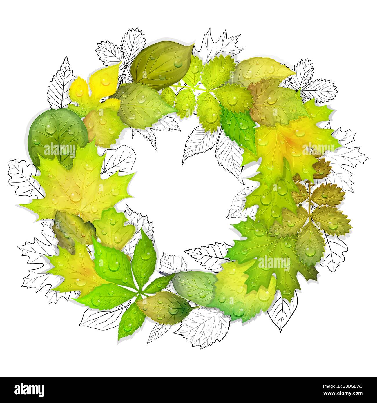 Green leaves vector background Stock Vector Image & Art - Alamy