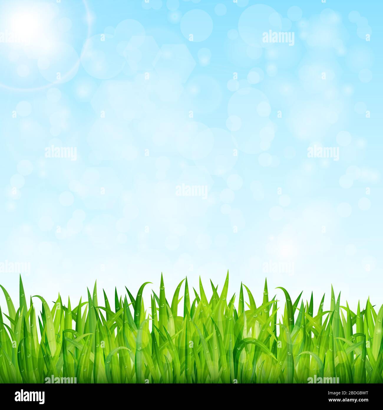 Nature background with green grass and blue sky vector Stock Vector ...