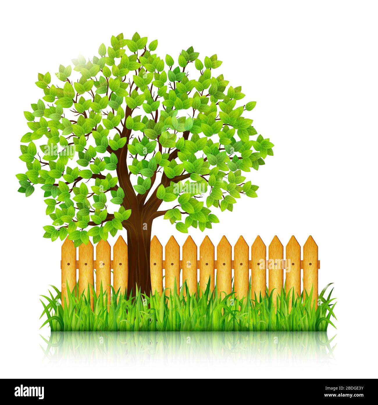 Nature background with green tree, grass and wooden fence vector Stock ...