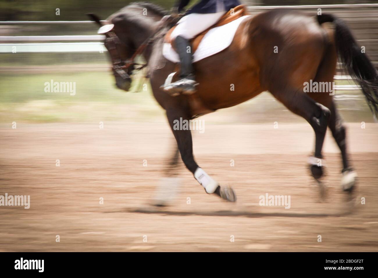 An English Rider trots her horse around the arena in a blurred image