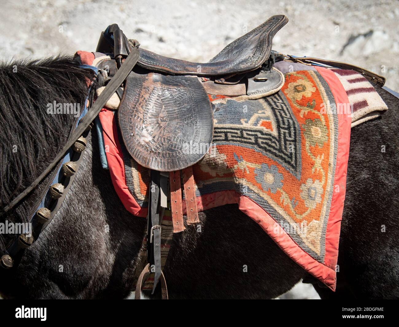 A saddle blanket adorns a horse along the Everest base camp trek in