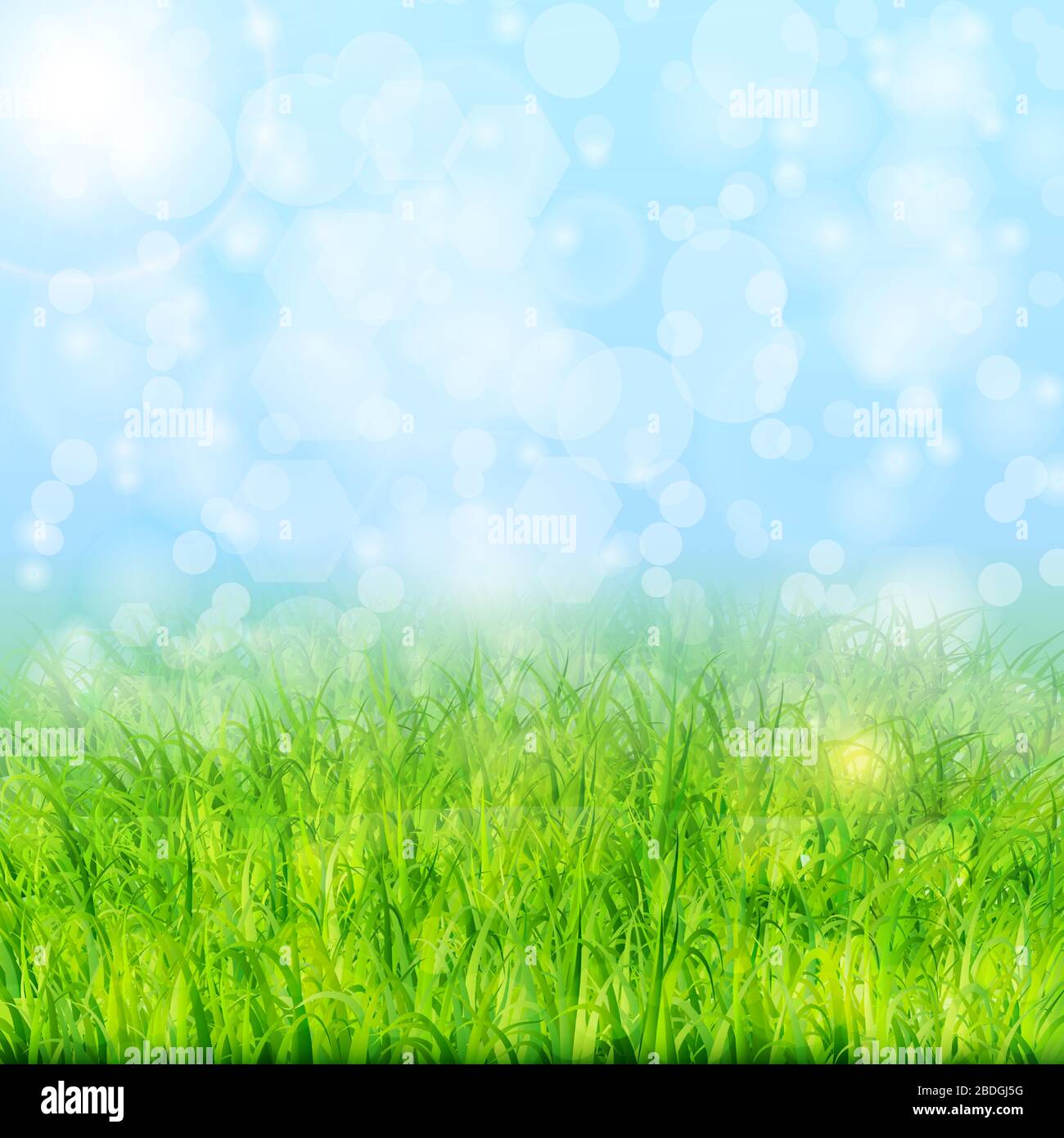 Sky Grass Background Vector