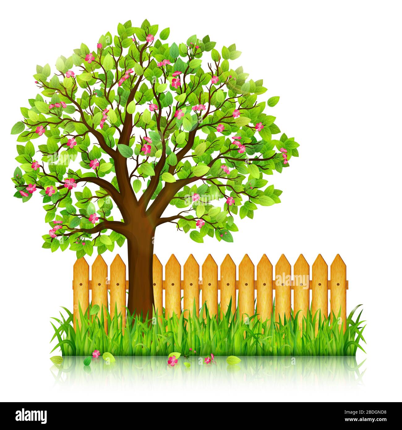 Spring background with green grass, blossoming tree and garden fence vector  Stock Vector Image & Art - Alamy