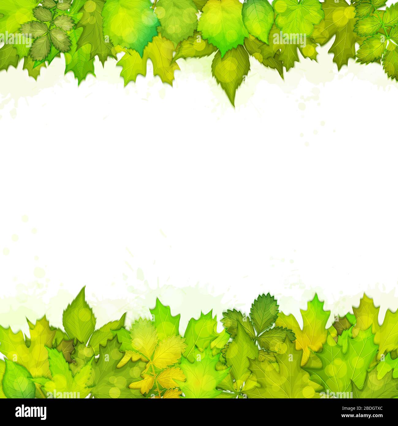 Green leaves background vector Stock Vector Image & Art - Alamy