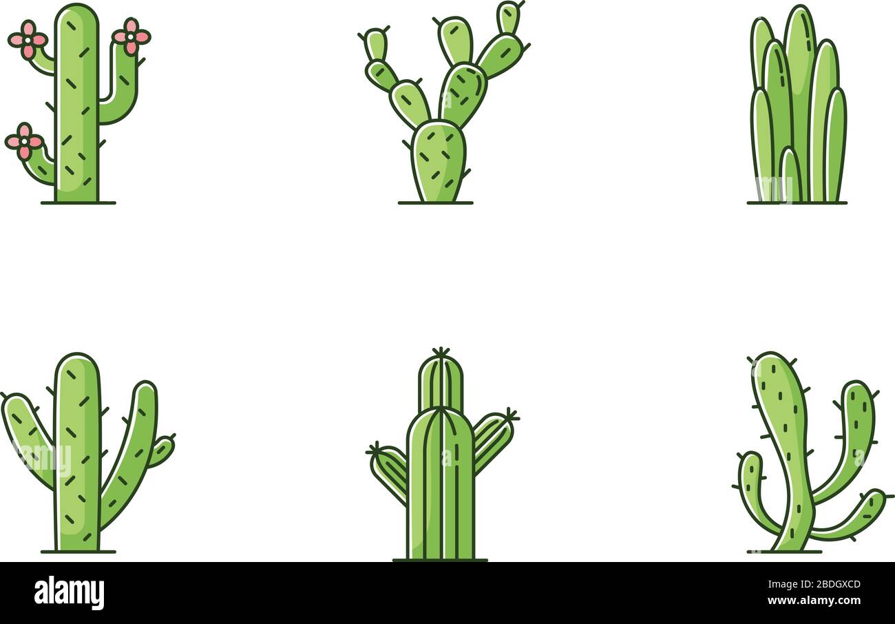 Cactuses green RGB color icons set. American desert plants with fleshy trunks. Family Cactaceae. Different prickly succulents. Arid area thorny Stock Vector