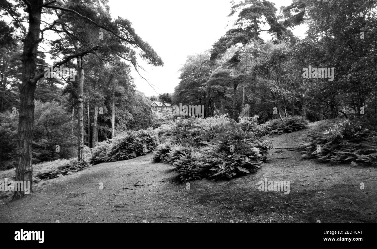 Addiscombe Addiscombe, Coombe Woods c1965 Stock Photo - Alamy
