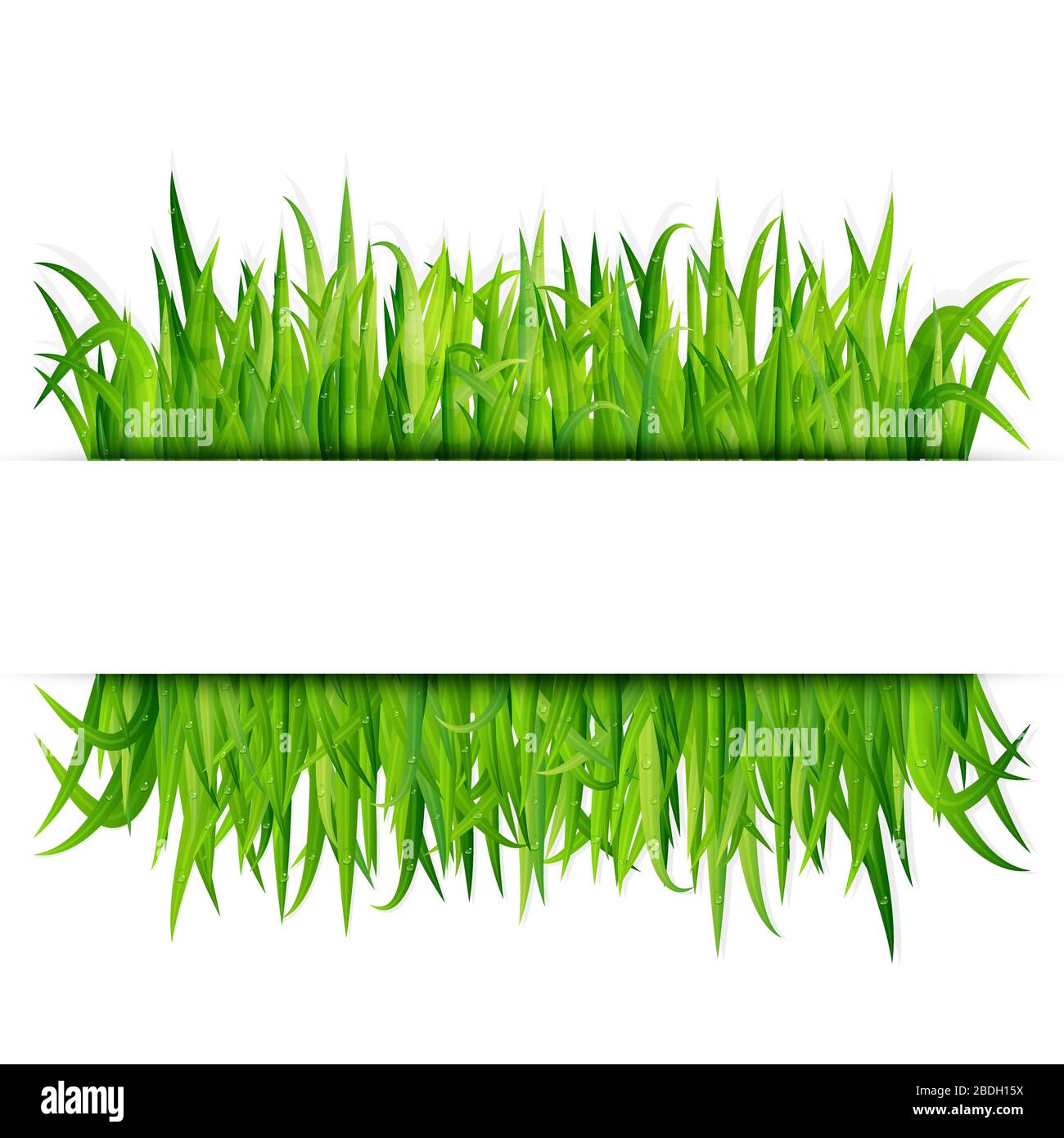 Green grass banner. Vector background Stock Vector Image & Art Alamy