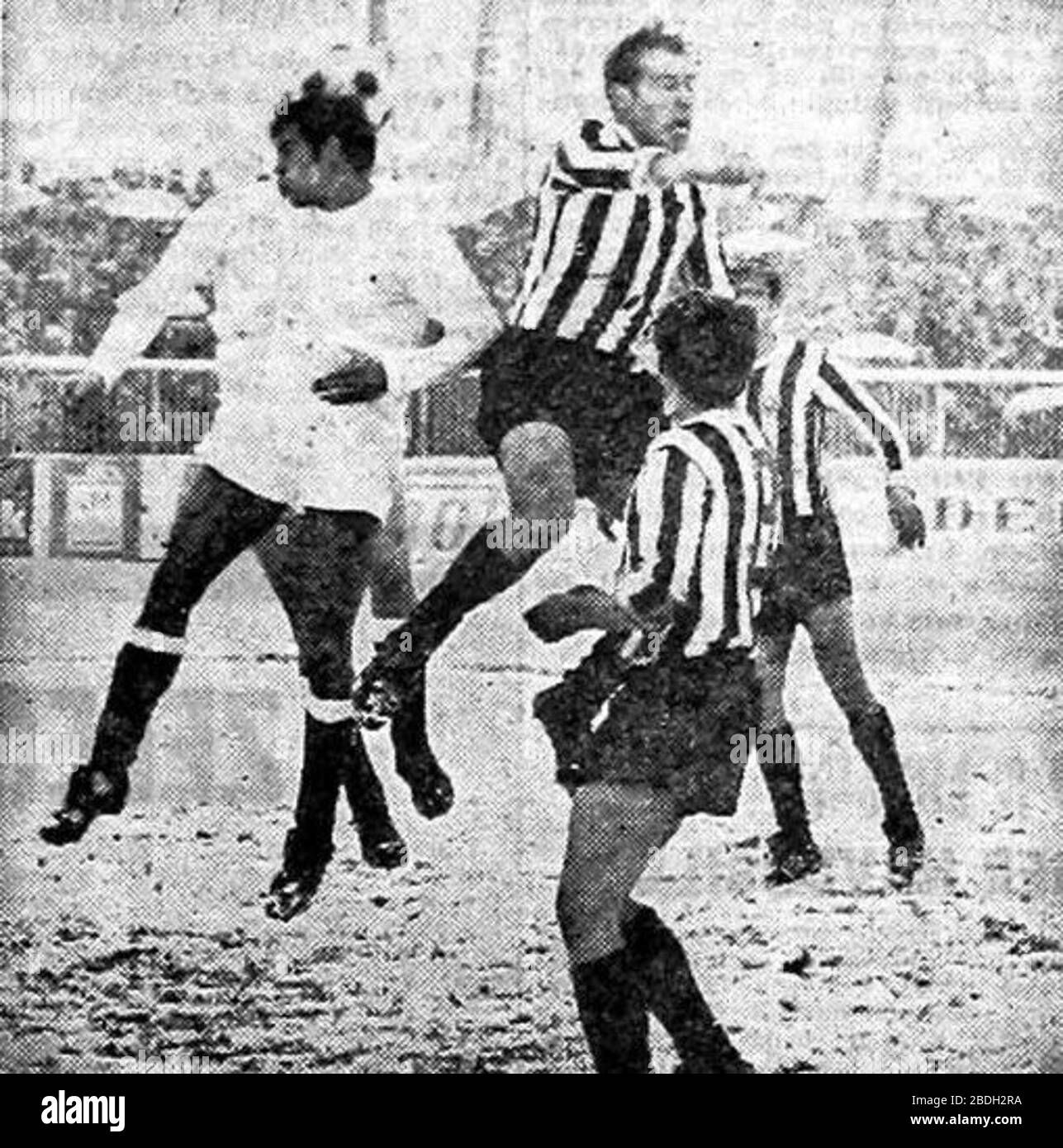 P!nk Black and White Stock Photos