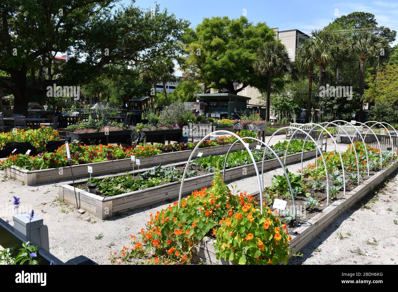 Urban Garden For Vegetables Flowers Small Book Library Watering Copper Piping And 4 Tanks Stock Photo Alamy