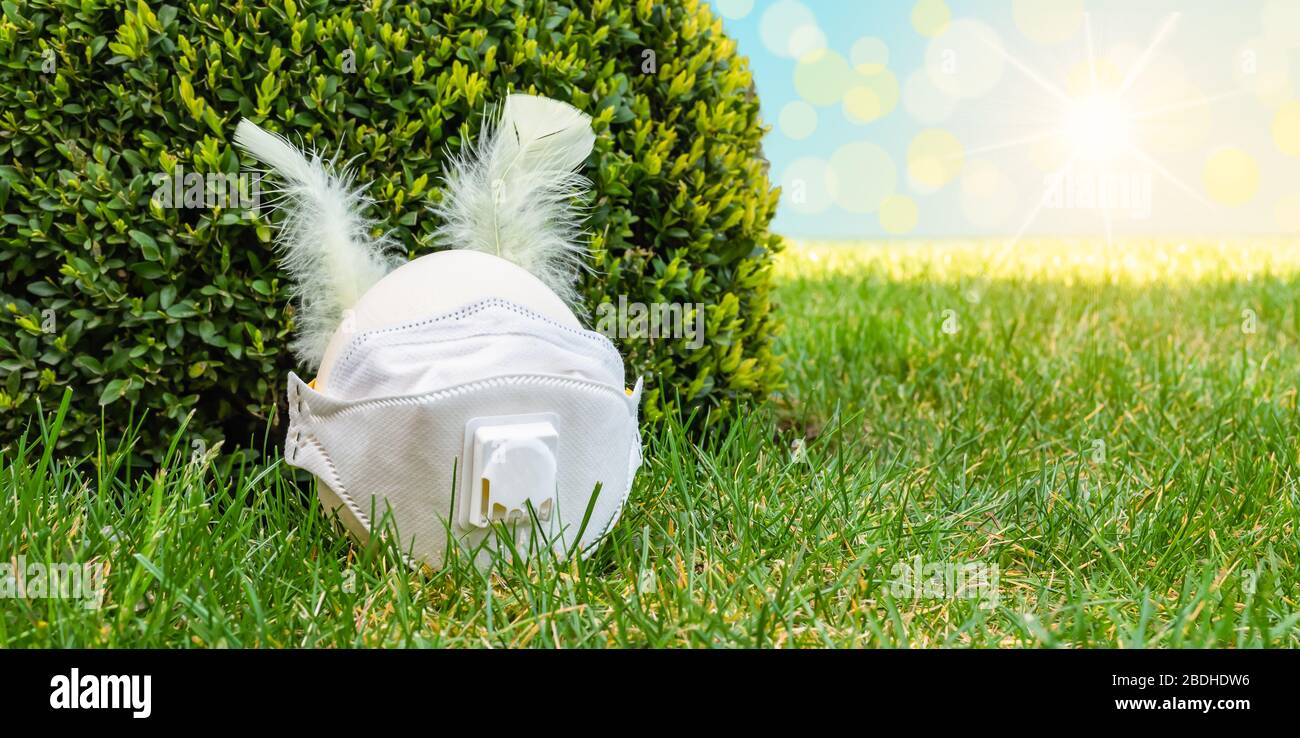 Easter Egg as Rabbit Head with feather ears and corona protection mask in the lawn. Stock Photo