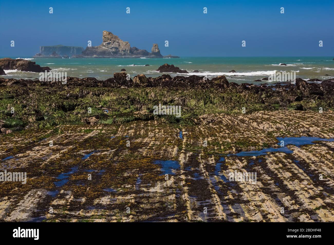 Riatloo Rocks Parallel lines of rock revealed at low tide on Rialto Beach in Olympic ...