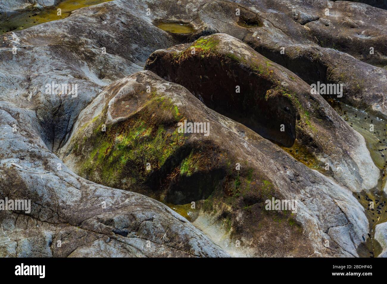 Riatloo Rocks Sandstone rocks, carved by waves and tides, on Rialto Beach in Olympic ...