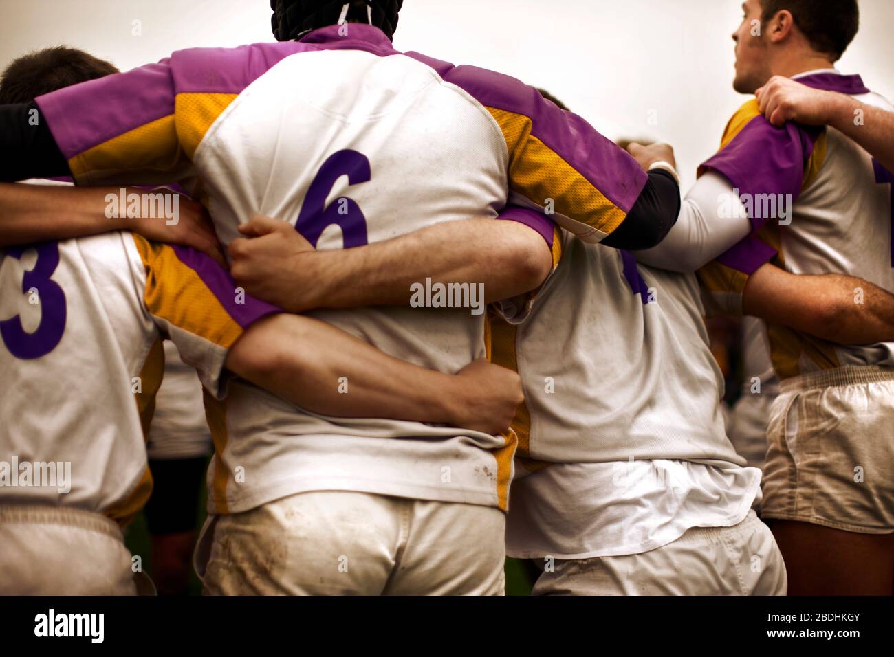 Rugby players preparing to go into a scrum. Stock Photo