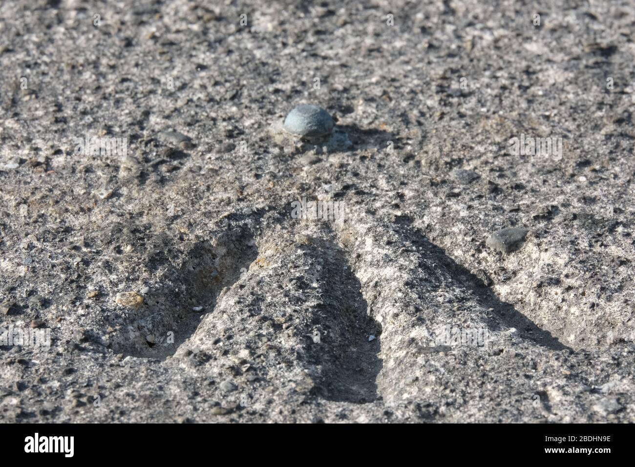 Ordnance Survey Lower Order Bench Mark (Benchmark) and rivet located in concrete - Cartography, Mapmaking, height datum Stock Photo