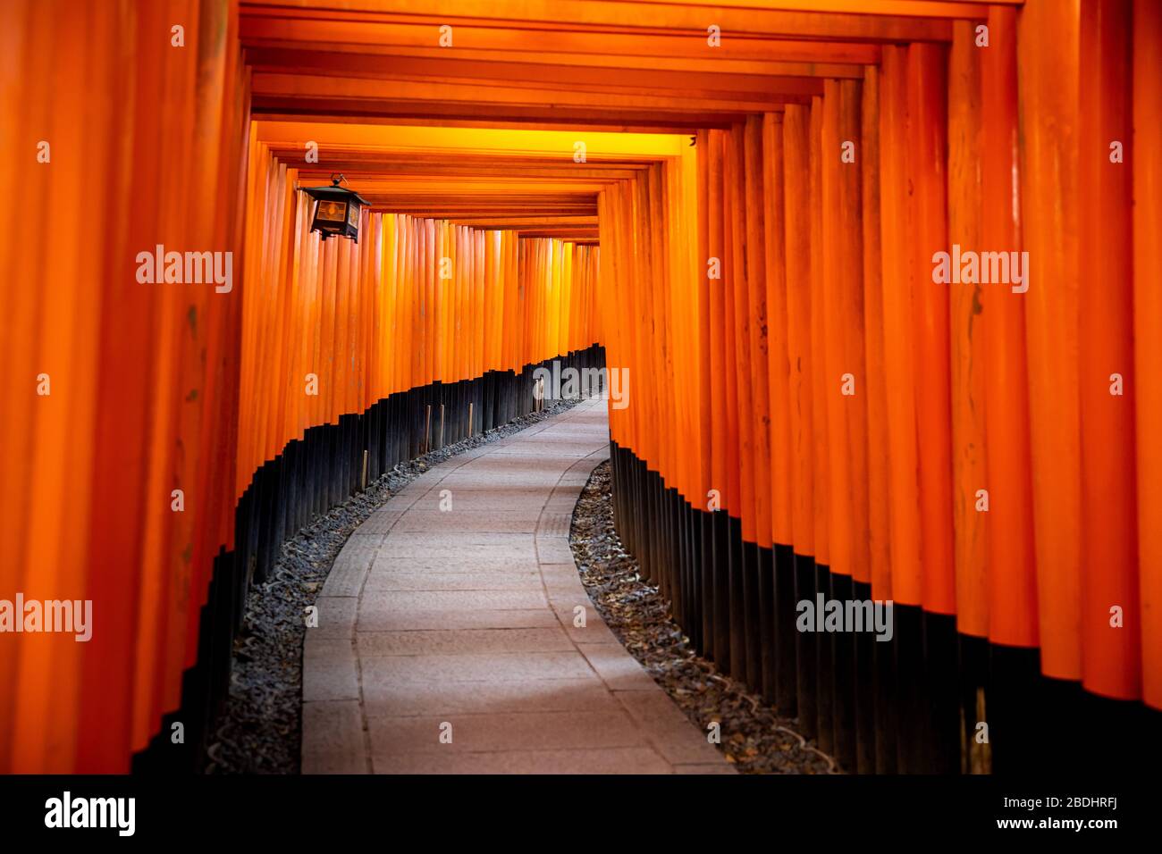 Fushimi Inari-taisha Shrine, Japan Stock Photo