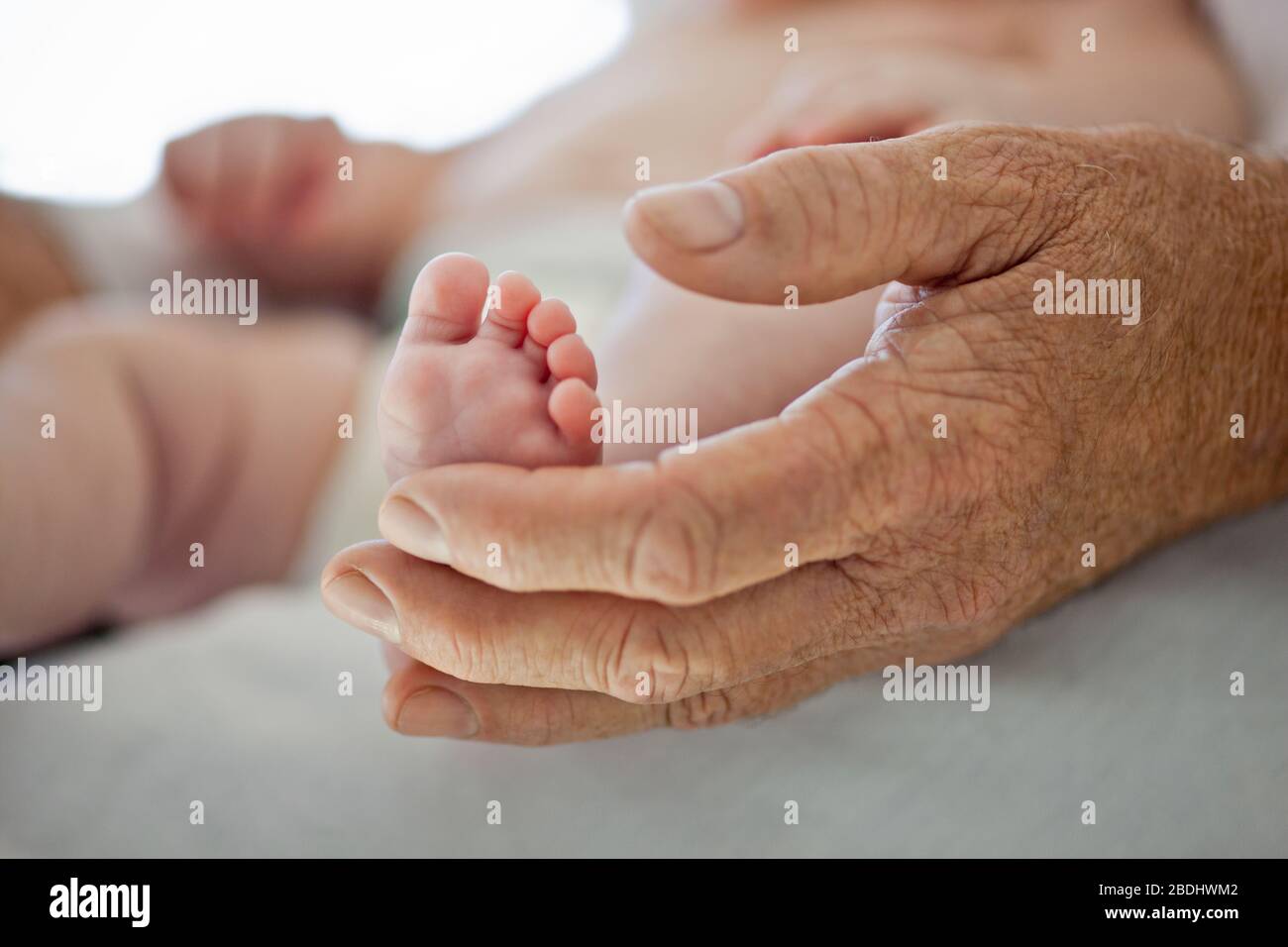 Doctor examining the feet of a baby girl. Stock Photo