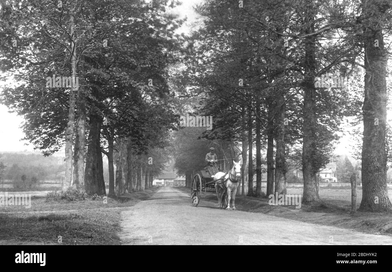 Compton, the Avenue 1907 Stock Photo Alamy